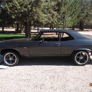 Meet your Posher, Albert